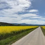 Affittacamere Am Burgberg 3*