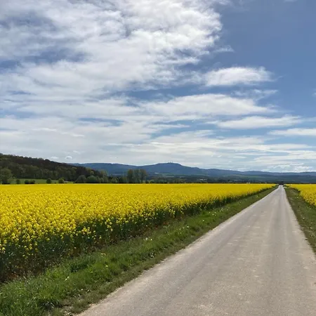 Гостевой дом Am Burgberg 3*