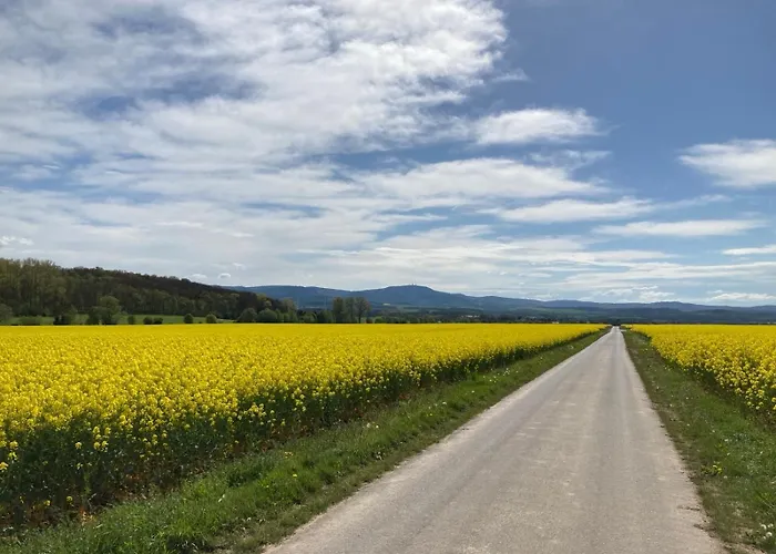 ゲストハウス Am Burgberg 3*